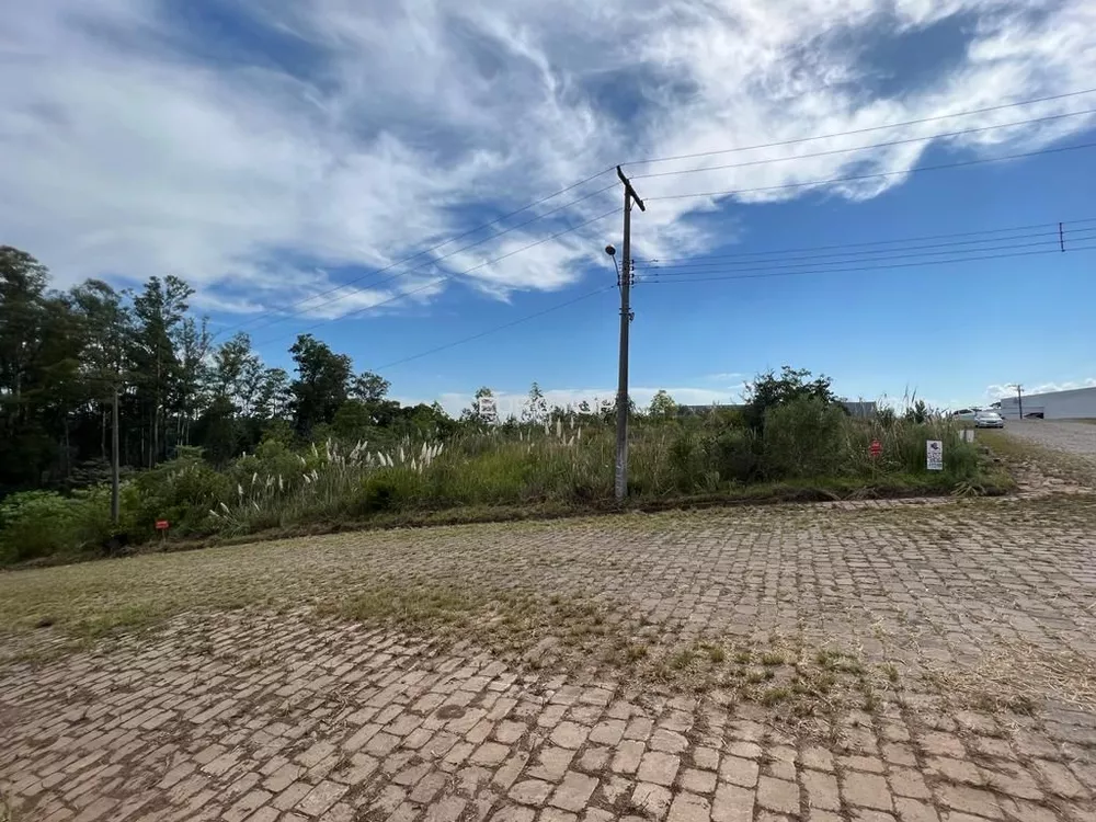 Terreno, 9094 m² - Foto 6