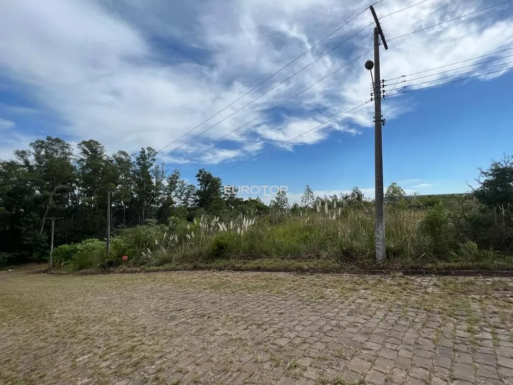 Terreno, 9094 m² - Foto 4