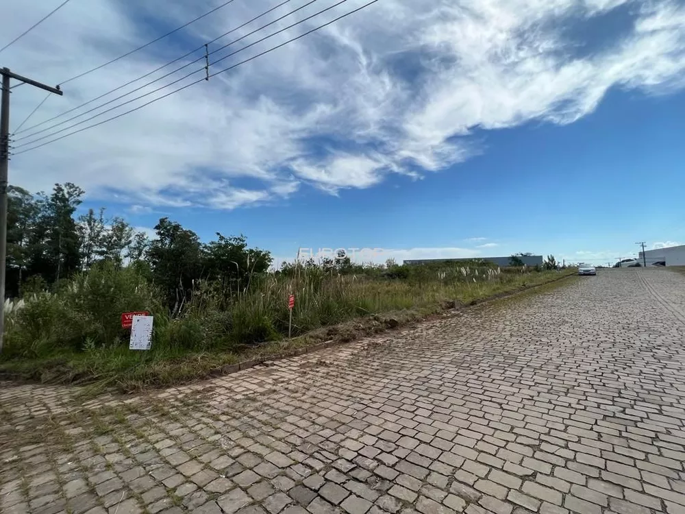 Terreno, 9094 m² - Foto 3