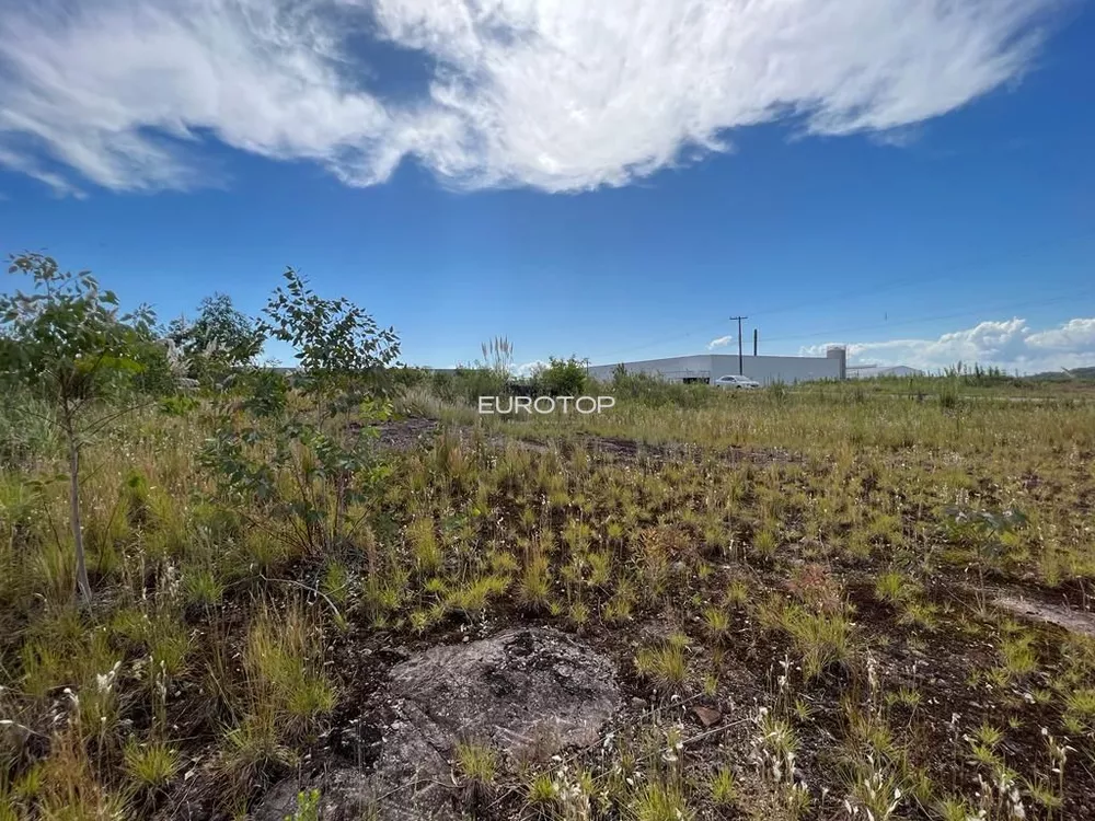 Terreno, 9094 m² - Foto 7