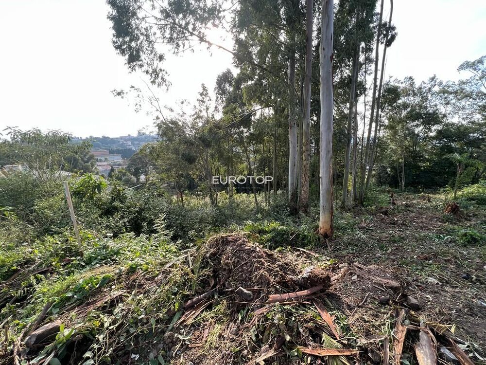 Terreno, 643 m² - Foto 3