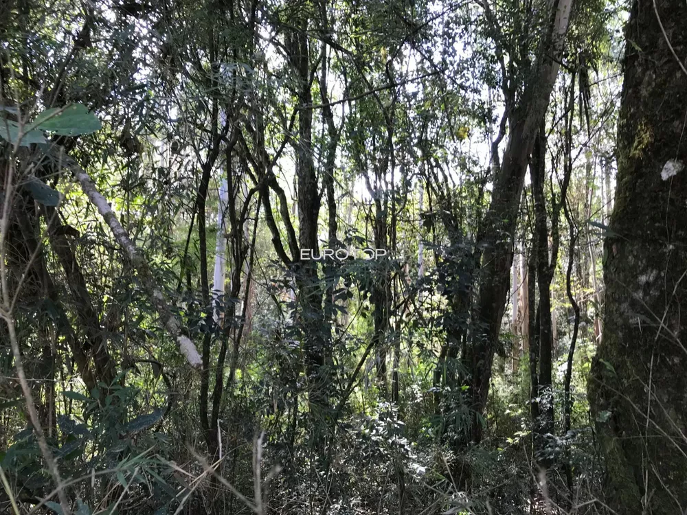 Terreno à venda, 18944m² - Foto 4