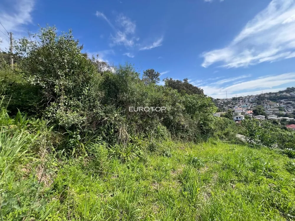 Terreno, 200 m² - Foto 1