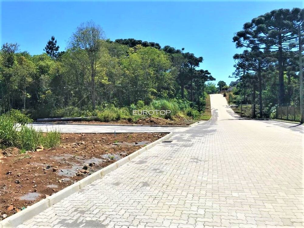 Terreno, 373 m² - Foto 1