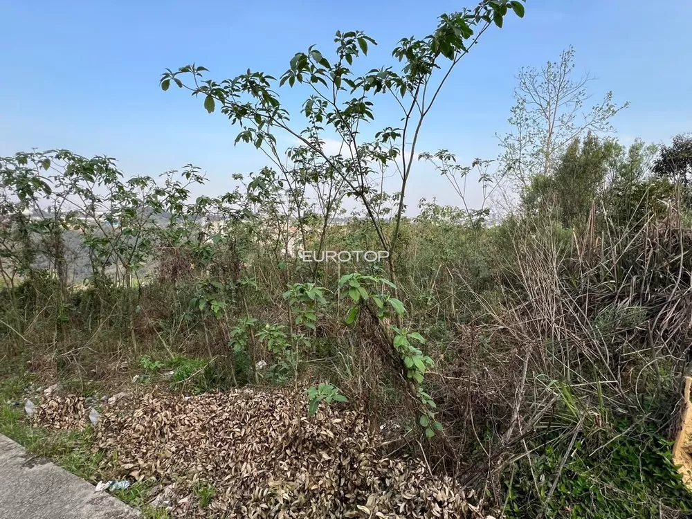 Terreno, 429 m² - Foto 3
