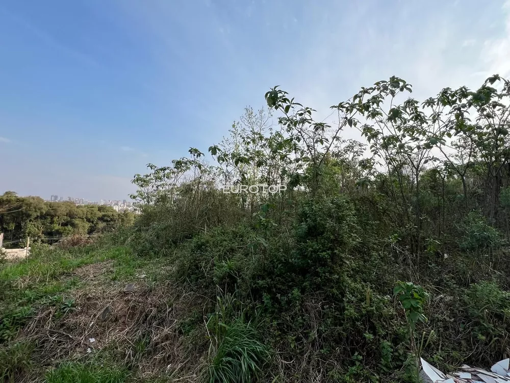 Terreno, 429 m² - Foto 5