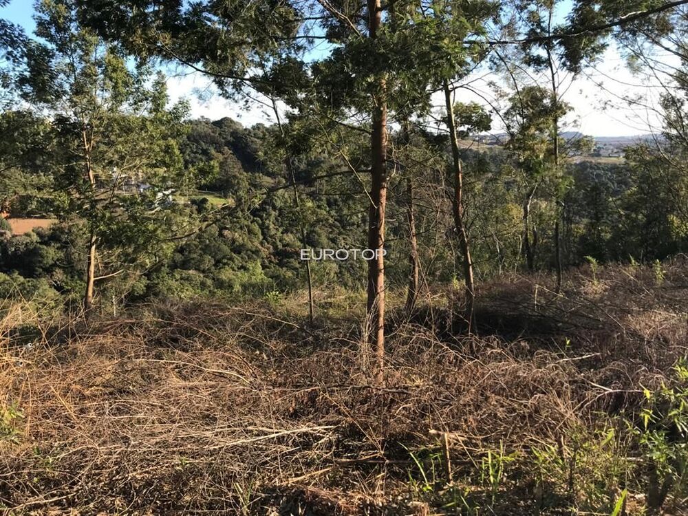Terreno à venda, 442m² - Foto 3