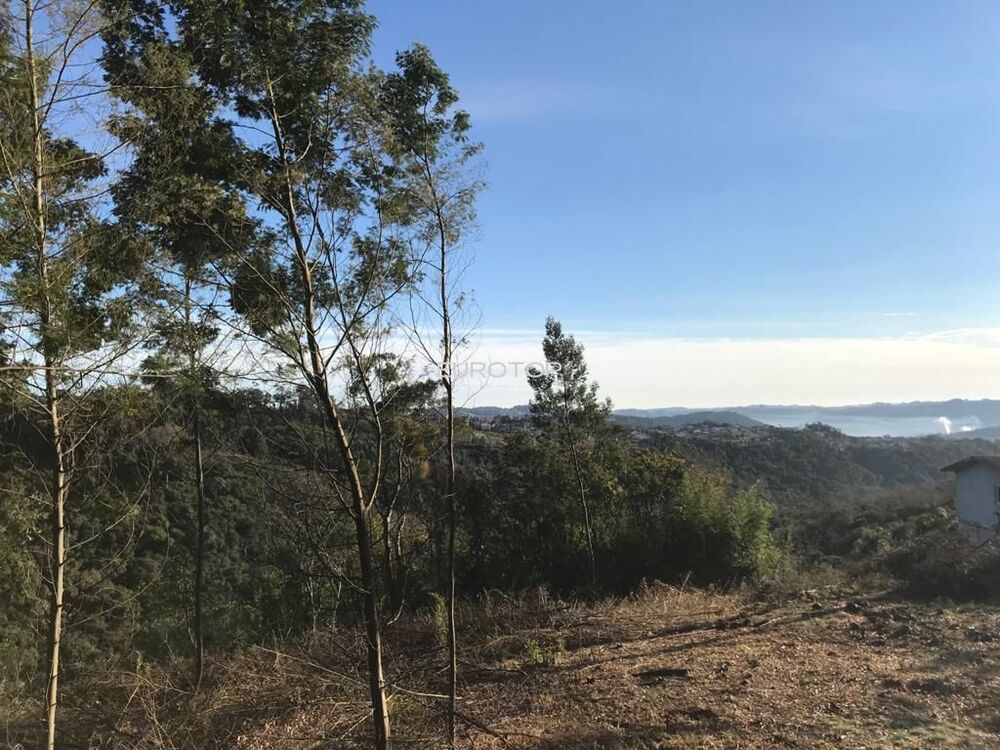 Terreno à venda, 442m² - Foto 6