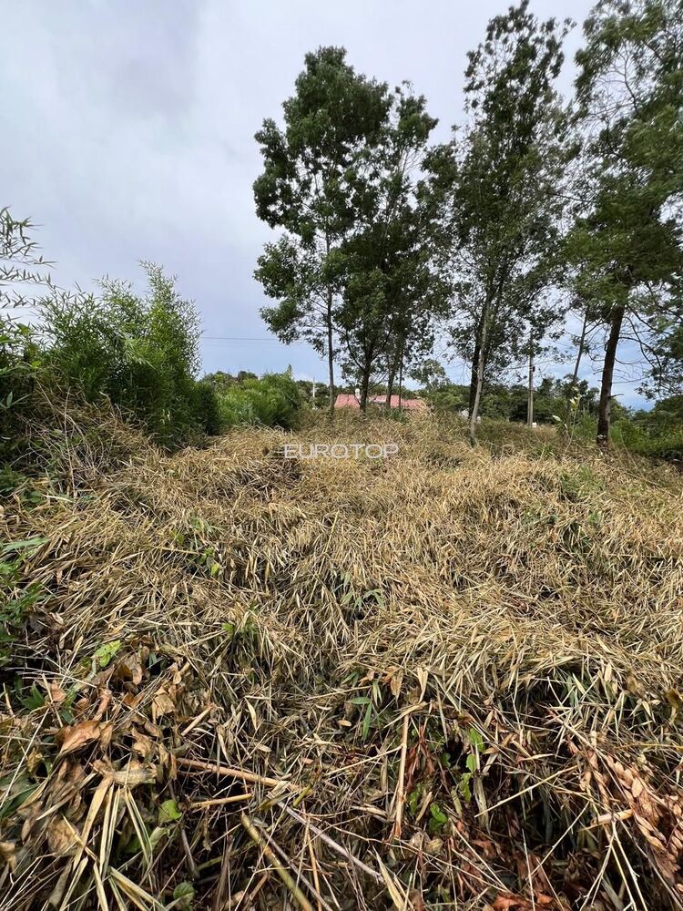 Terreno à venda, 442m² - Foto 9