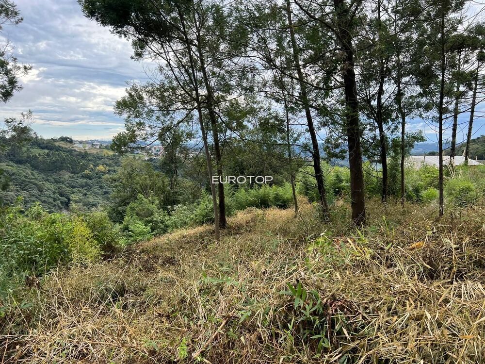 Terreno à venda, 442m² - Foto 10
