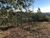 Terreno, 442 m² - Foto 4