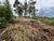 Terreno, 442 m² - Foto 7