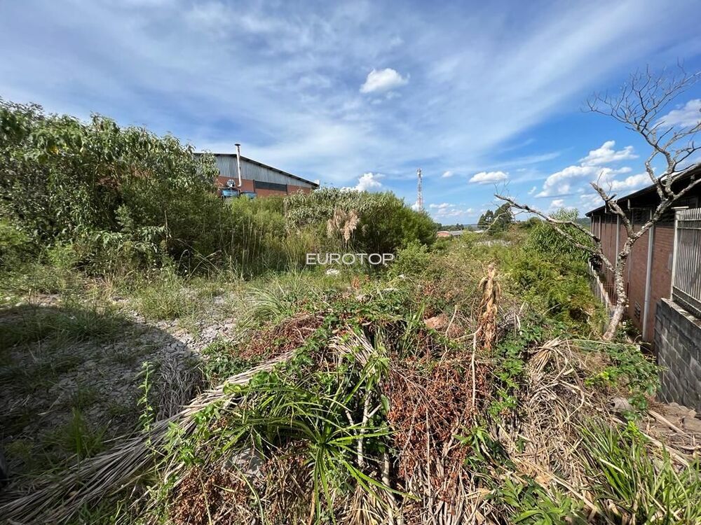 Terreno à venda, 1800m² - Foto 6