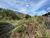 Terreno, 1800 m² - Foto 6