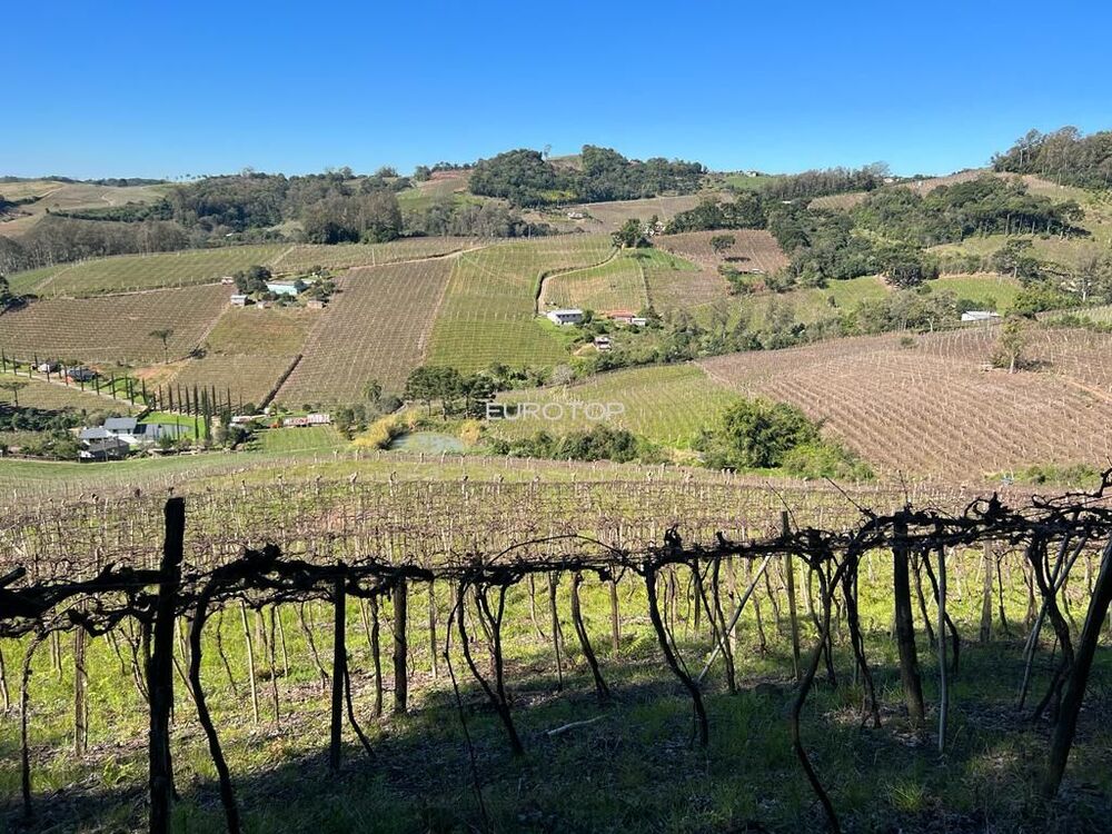 Fazenda, 11 hectares - Foto 1