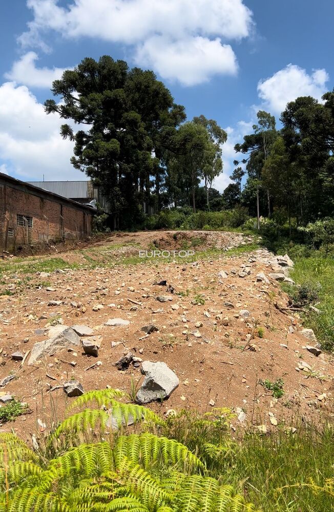 Terreno, 1109 m² - Foto 6