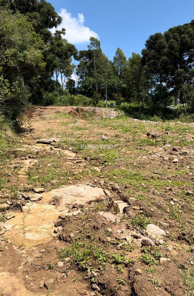 Terreno, 1109 m² - Foto 7