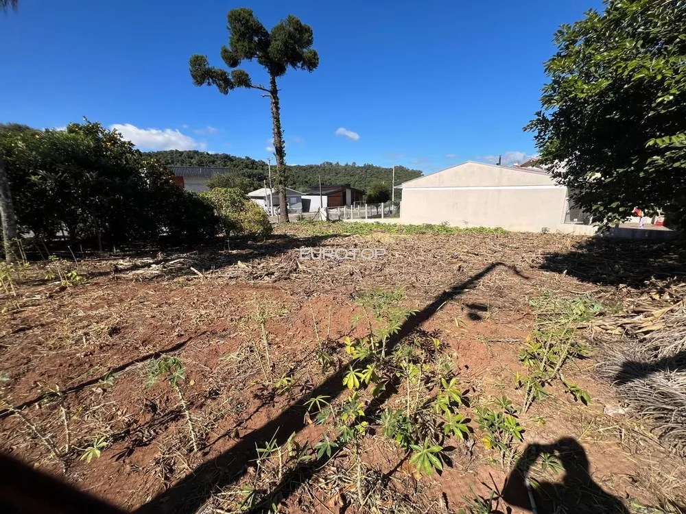 Terreno, 429 m² - Foto 4