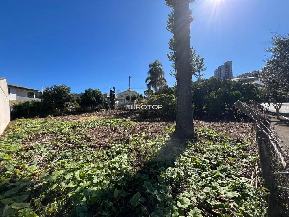 Terreno, 429 m² - Foto 3