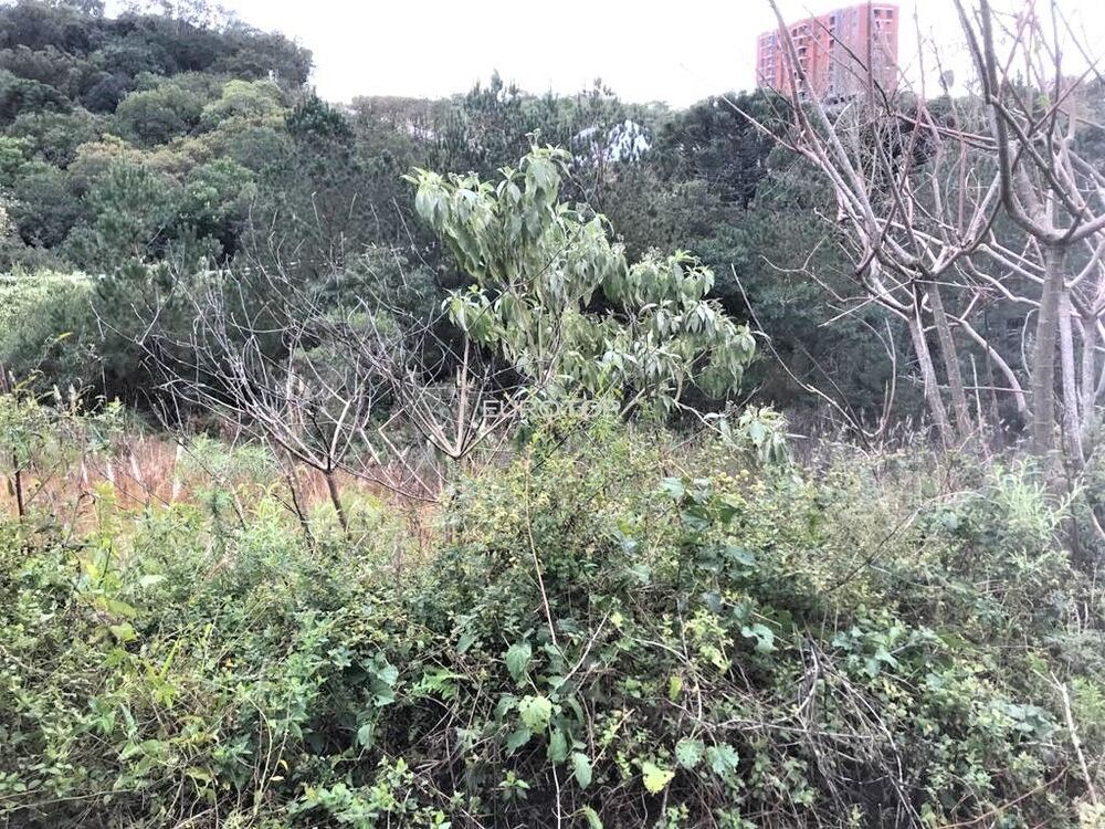 Terreno, 411 m² - Foto 5