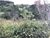 Terreno, 411 m² - Foto 3