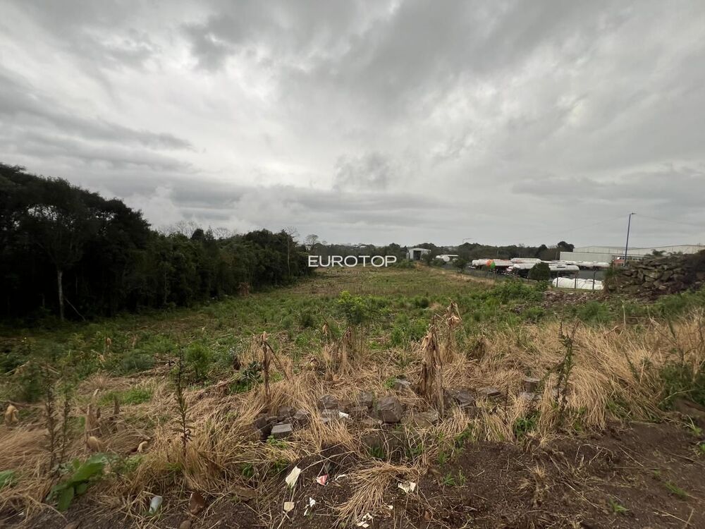 Terreno, 2863 m² - Foto 2