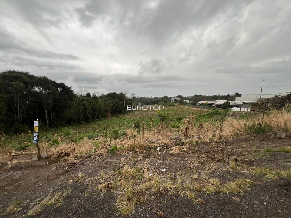 Terreno, 2863 m² - Foto 3