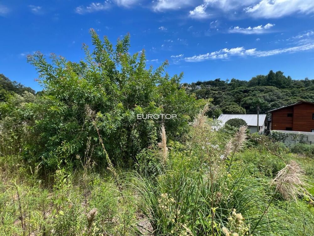 Terreno, 280 m² - Foto 3