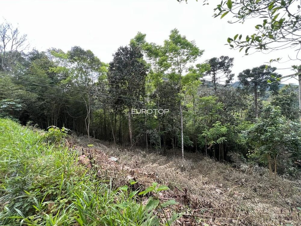 Loteamento e Condomínio à venda, 124500m² - Foto 14