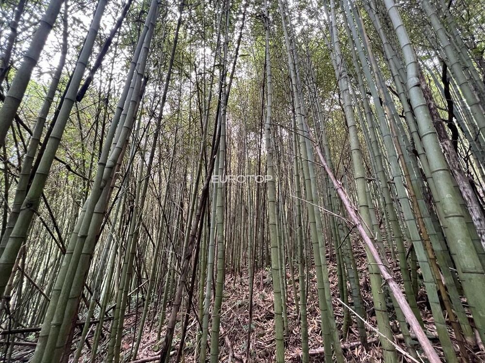 Loteamento e Condomínio à venda, 124500m² - Foto 16