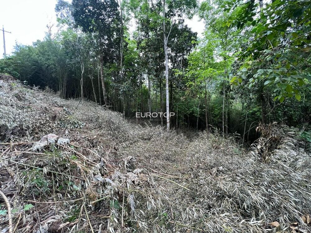 Loteamento e Condomínio à venda, 124500m² - Foto 6