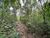 Loteamento e Condomínio, 12 hectares - Foto 11