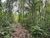 Loteamento e Condomínio, 12 hectares - Foto 15