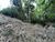 Loteamento e Condomínio, 12 hectares - Foto 6