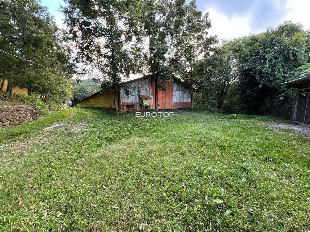 Sítio, 4 hectares - Foto 7