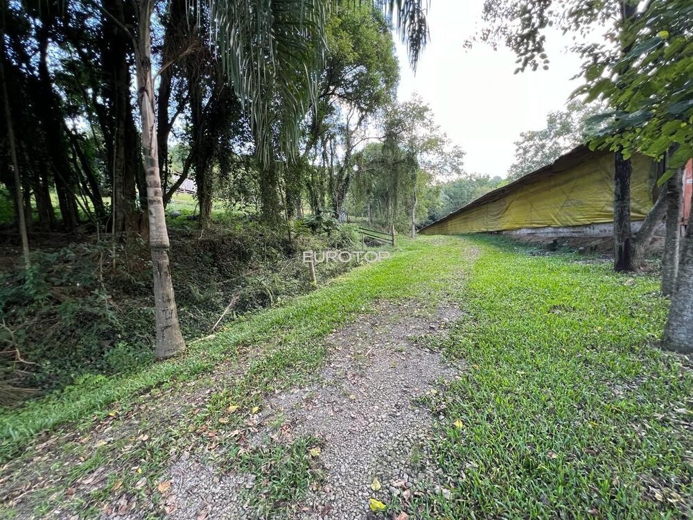 Sítio, 4 hectares - Foto 4