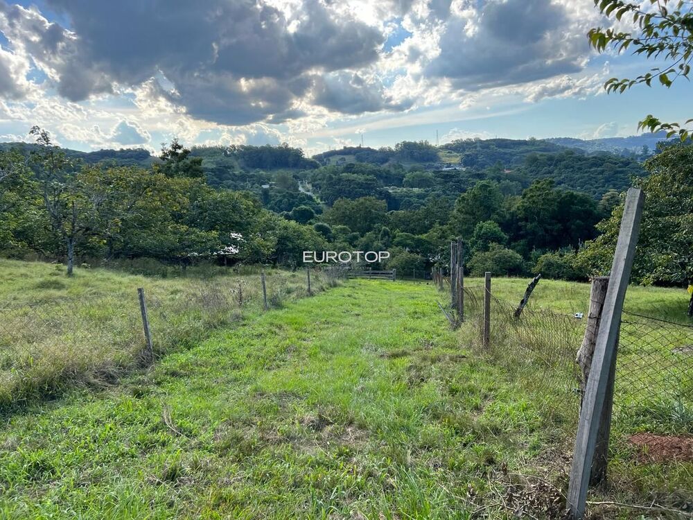 Sítio, 4 hectares - Foto 3