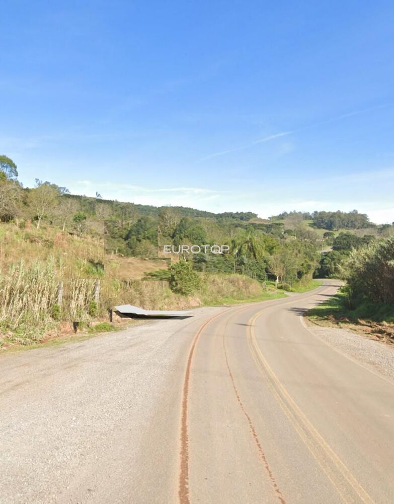 Sítio, 4 hectares - Foto 1