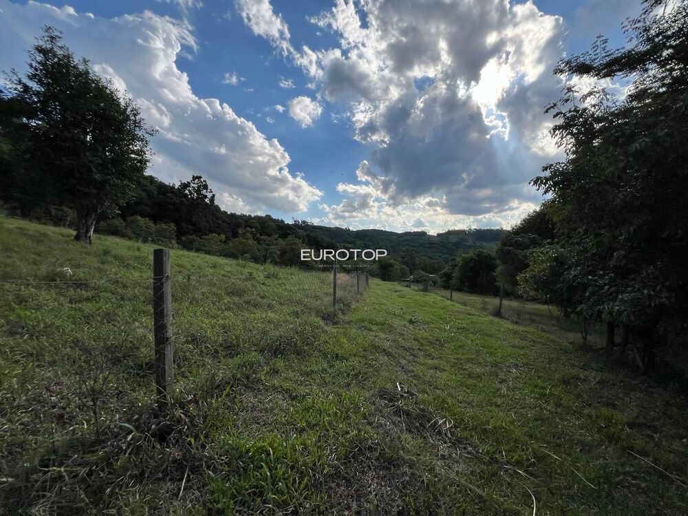 Sítio, 4 hectares - Foto 8