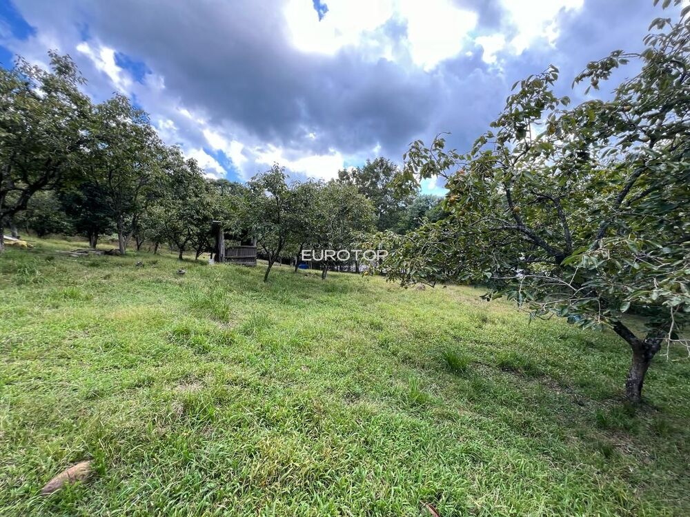 Sítio, 4 hectares - Foto 5