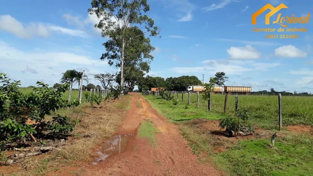 Fazenda, 247 hectares - Foto 3