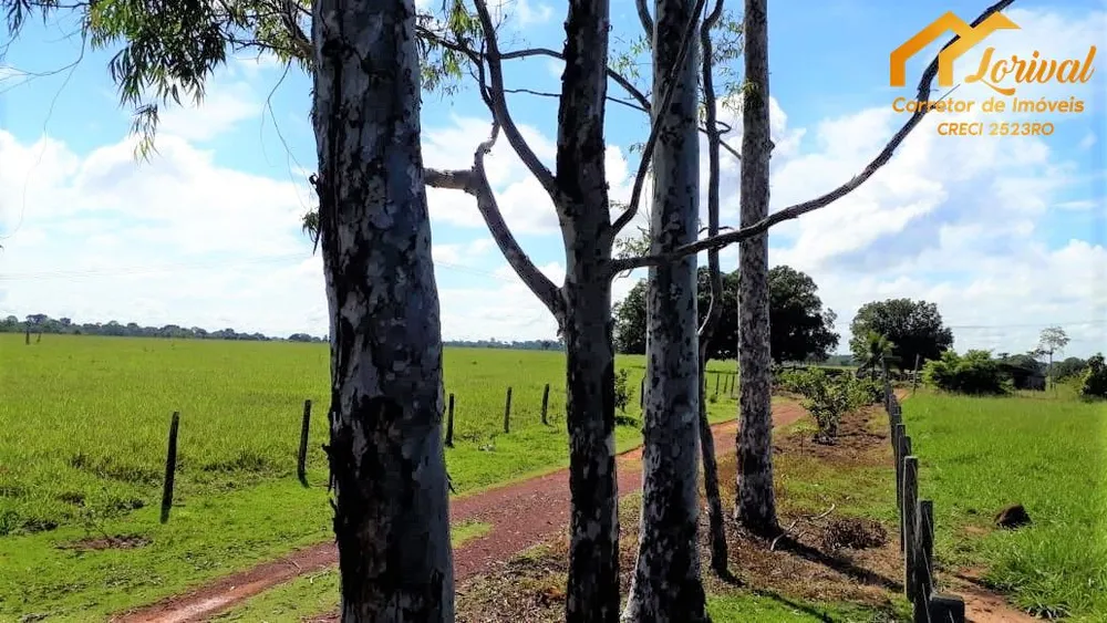 Fazenda, 247 hectares - Foto 4