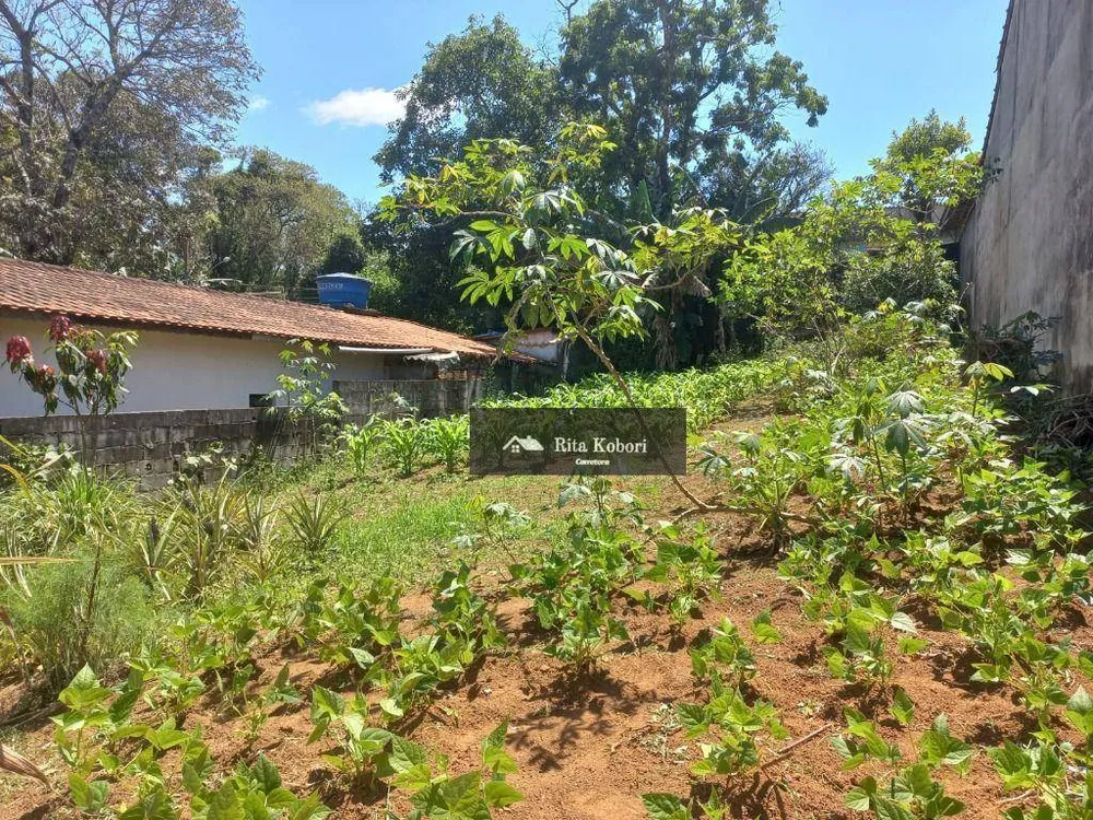 Terreno, 250 m² - Foto 1
