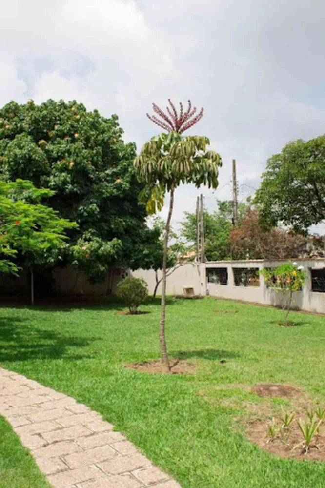 Chácara, 4 quartos, 2000 m² - Foto 9