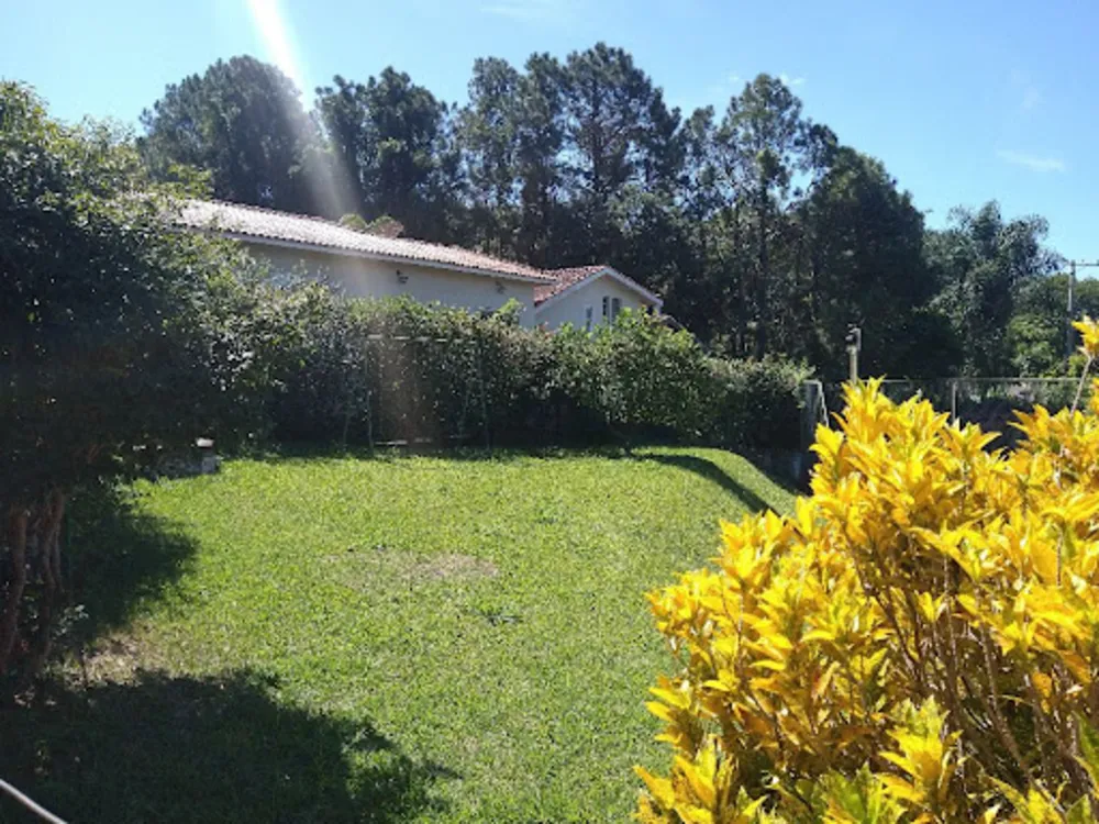 Chácara, 4 quartos, 3000 m² - Foto 3