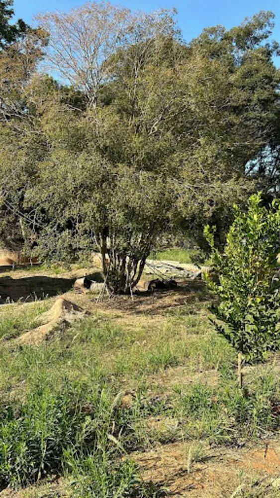 Terreno, 1000 m² - Foto 3