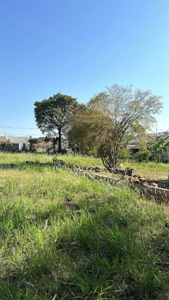 Terreno, 1000 m² - Foto 2
