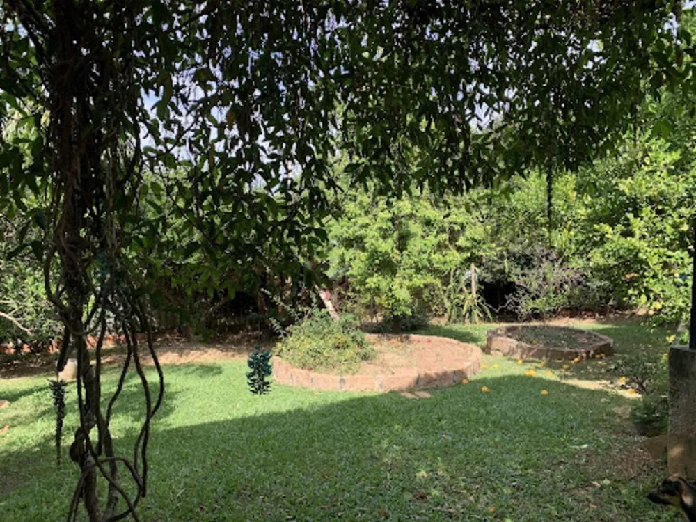 Chácara, 2 quartos, 1000 m² - Foto 4