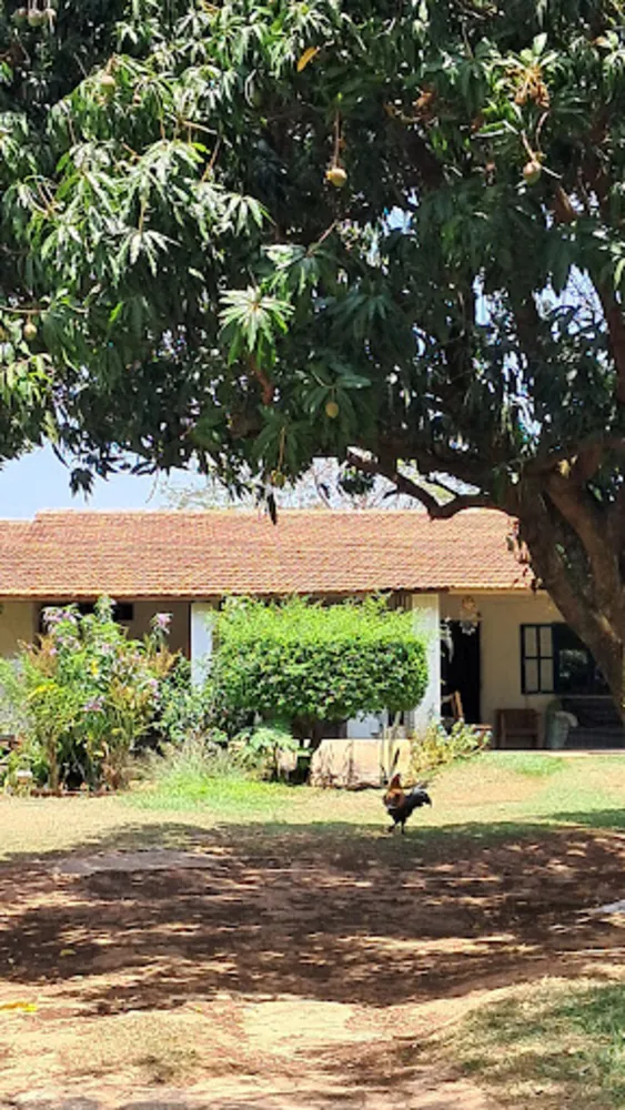 Chácara, 6 quartos, 1000 m² - Foto 1