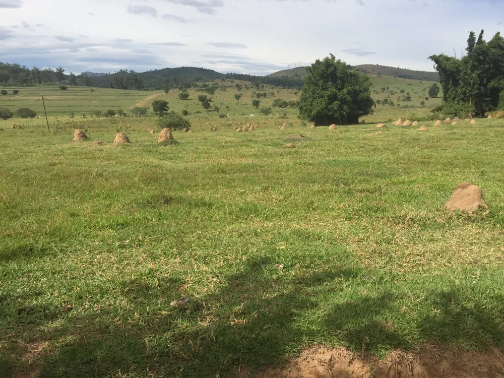 Terreno à venda, 800000m² - Foto 14